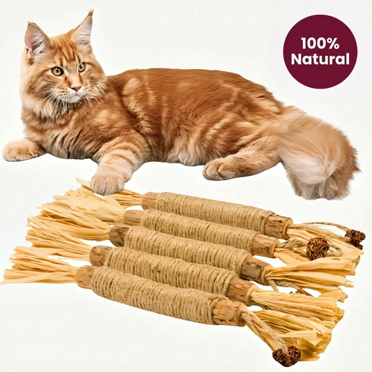 Natural Silvervine Sticks - Clean Teeth, Engaged & Happy Cat